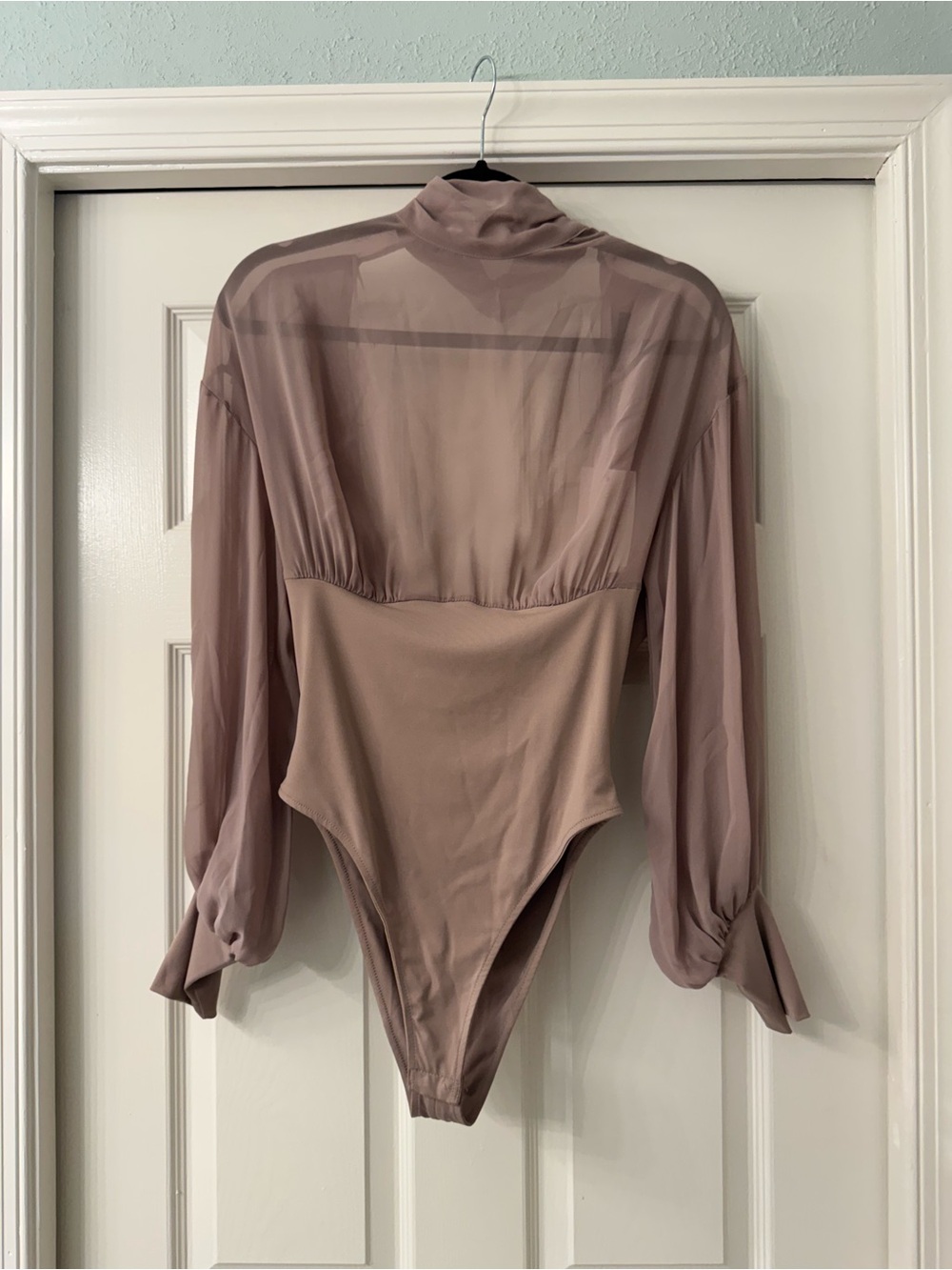 Zara Taupe Sheer Long-Sleeve Bodysuit